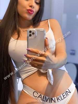 Amritsar Escort Service